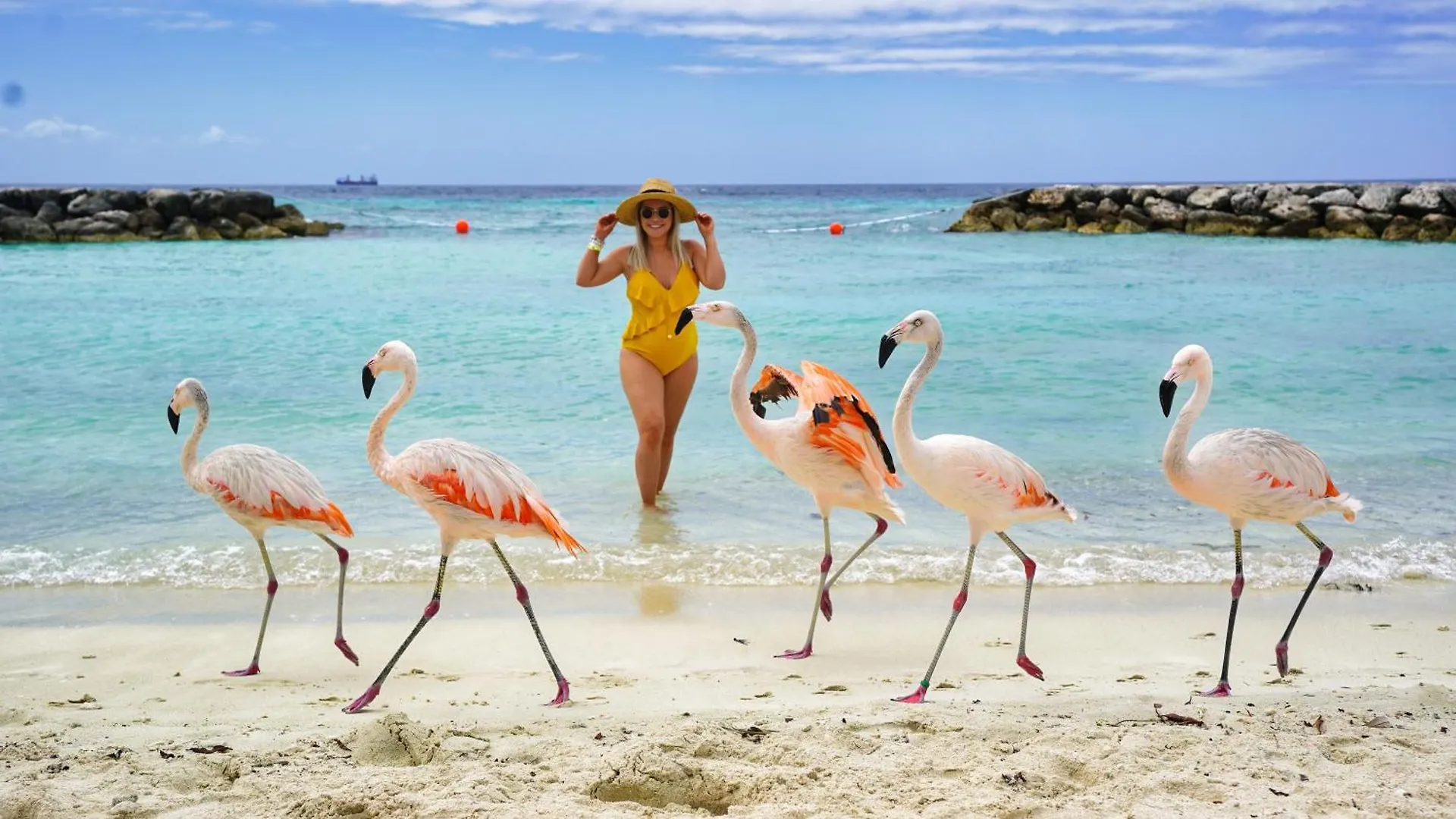 팜비치 Paseo De Playa 20 Tierra Del Sol 빌라