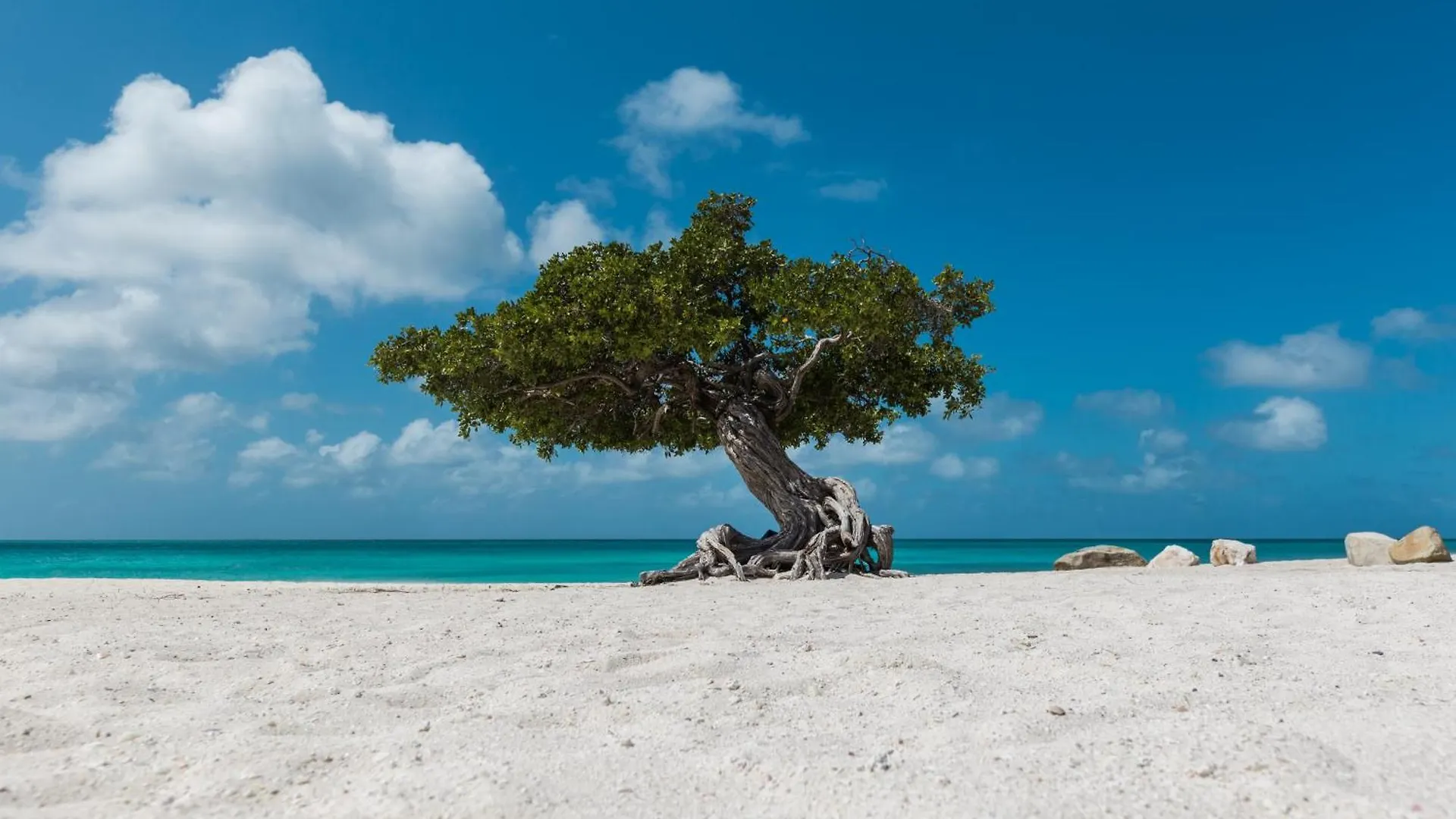팜비치 Paseo De Playa 20 Tierra Del Sol 빌라 아루바
